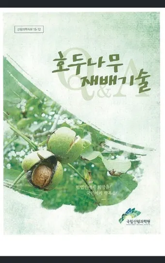 호두 재배 순 지르기 수분 수정 고온 피해 예방_10