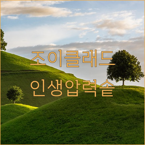 조이클래드 20인용 대용량부터 미니 ..