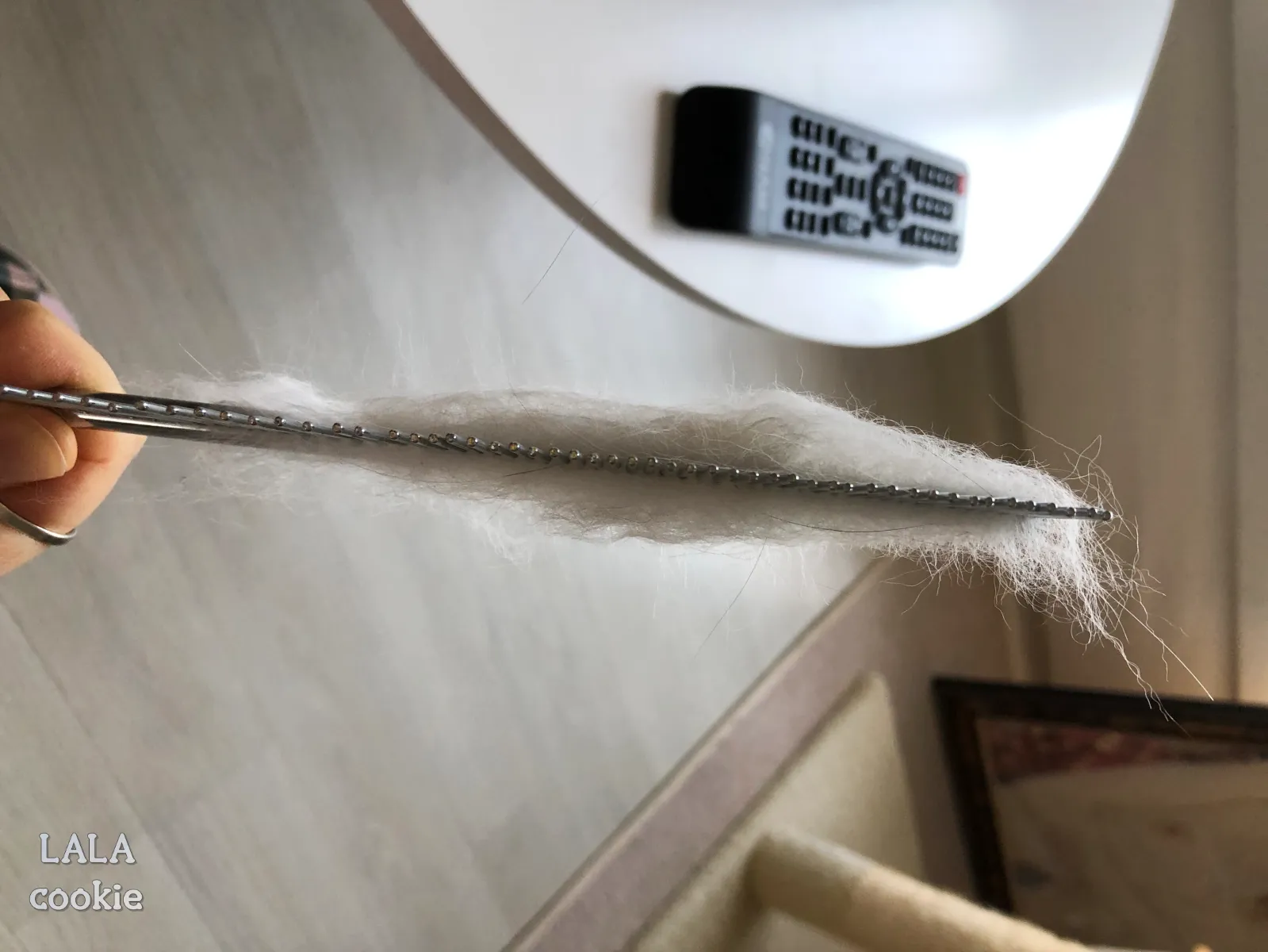 고양이-처음-키울때-힘든점-털-빗질