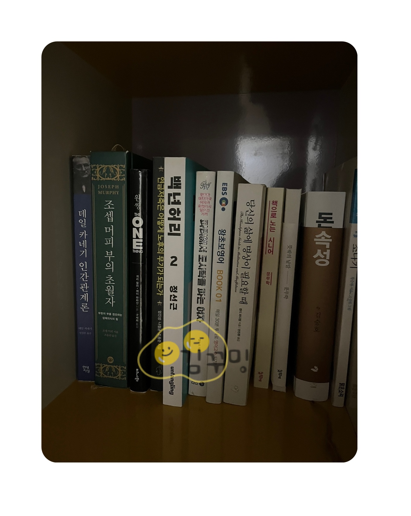 책-데일카네기 인간관계론-조셉머피 부의 초월자-파리에서 도시락을 파는 여자-돈의 손성-자기계발-흰색-검은색-초록색-데일카네기 사진