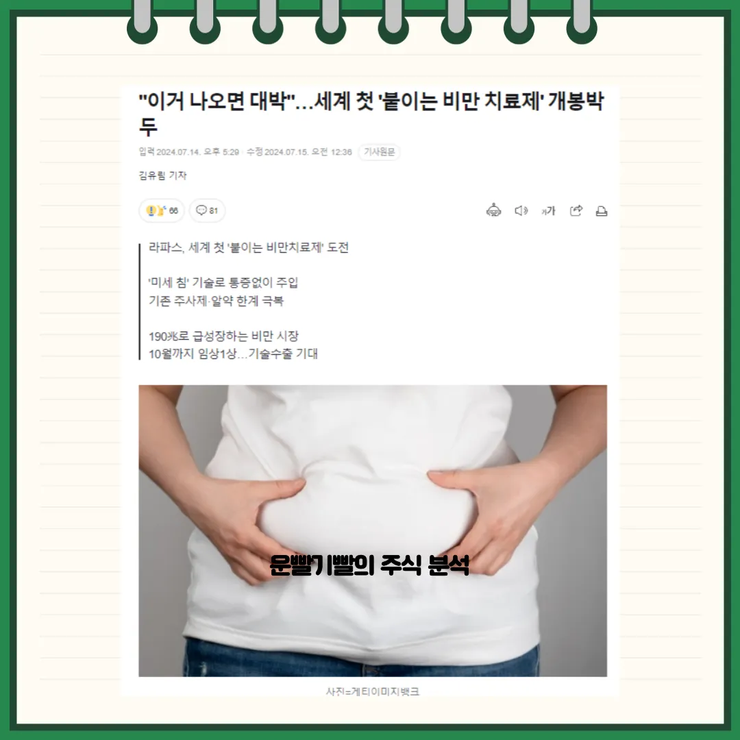 라파스 뉴스