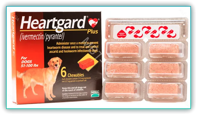 하트가드플러스