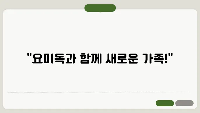 광명아지무료분양 요믵쎵