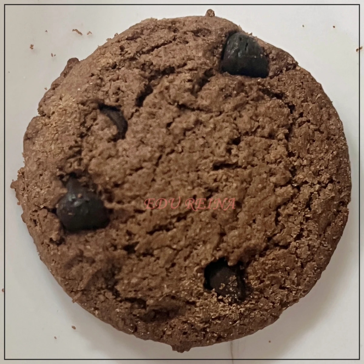 노브랜드-미니초코칩쿠키-쿠키-확대