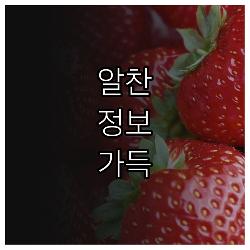 포천사랑 지역화폐 2025 소득공제 ..