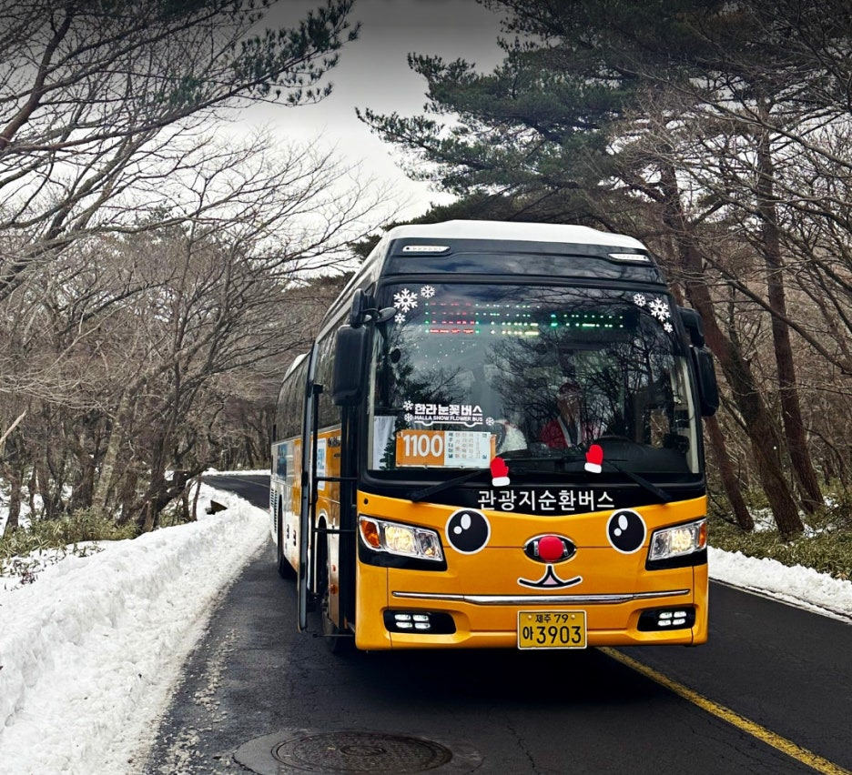 한라산눈꽃버스 운행 한라산 겨울 여행