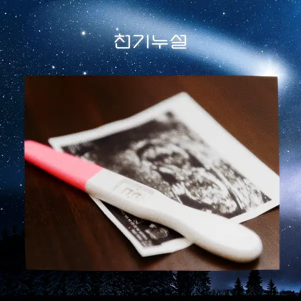 임신하는 꿈 해몽