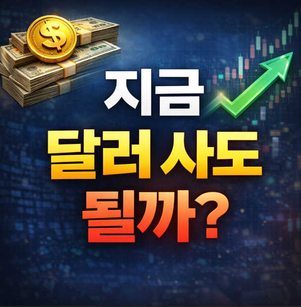 달러 언제 사야 하나? 2026년 기준 타이밍 잡는 3가지 방법