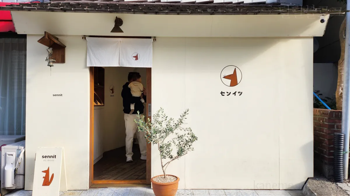 제주도여행-화석과자-센잇-가게