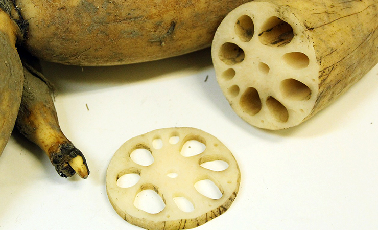 위염에 좋은 음식 베스트 연근