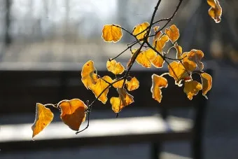 박토토 뜻 박충섭 시네마천국 뜻_27