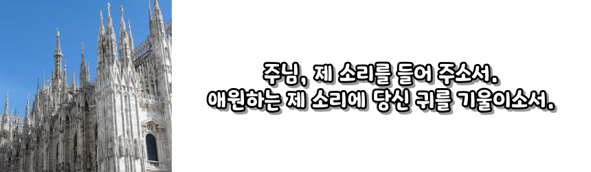 천주교 위령 성월 기도문_성월 기도