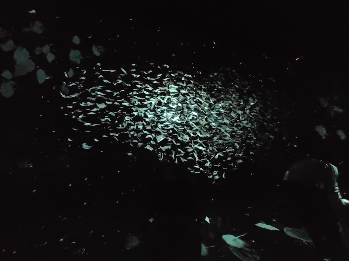 여수아르떼뮤지엄 미디어아트 바다 1