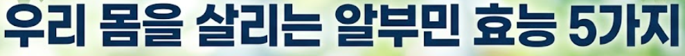 알부민 효능