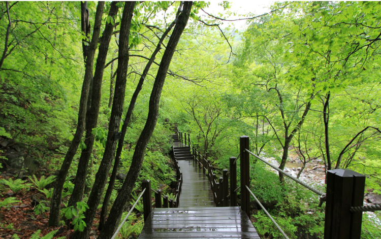 가평 가볼만한곳