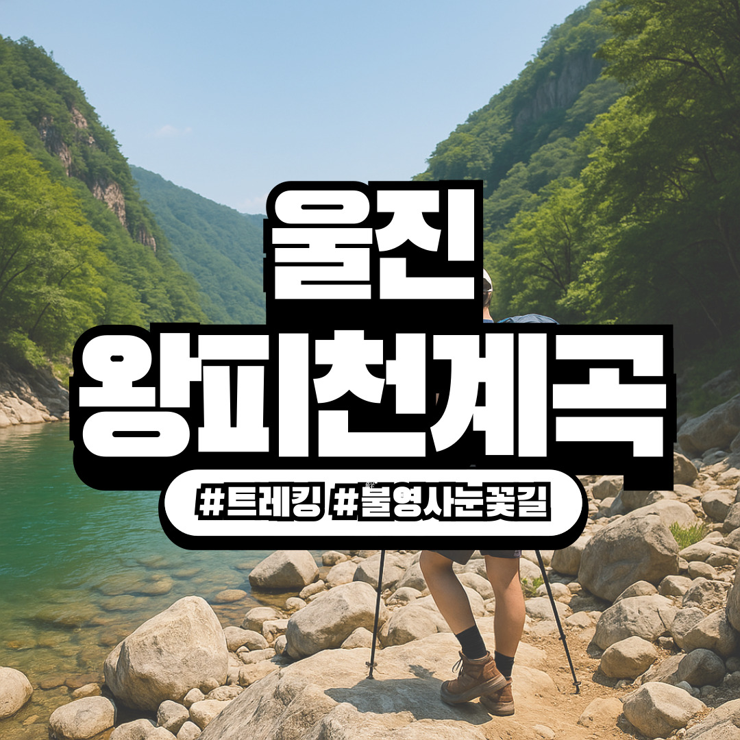 경북 울진 ‘왕피천계곡 트레킹 + 불영사 눈꽃길’ – 겨울 풍경·힐링·미식이 함께하는 완전 여행 코스