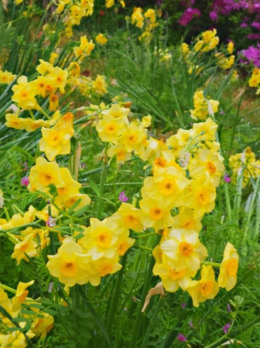 미래에셋 ISA 만기이전 방법