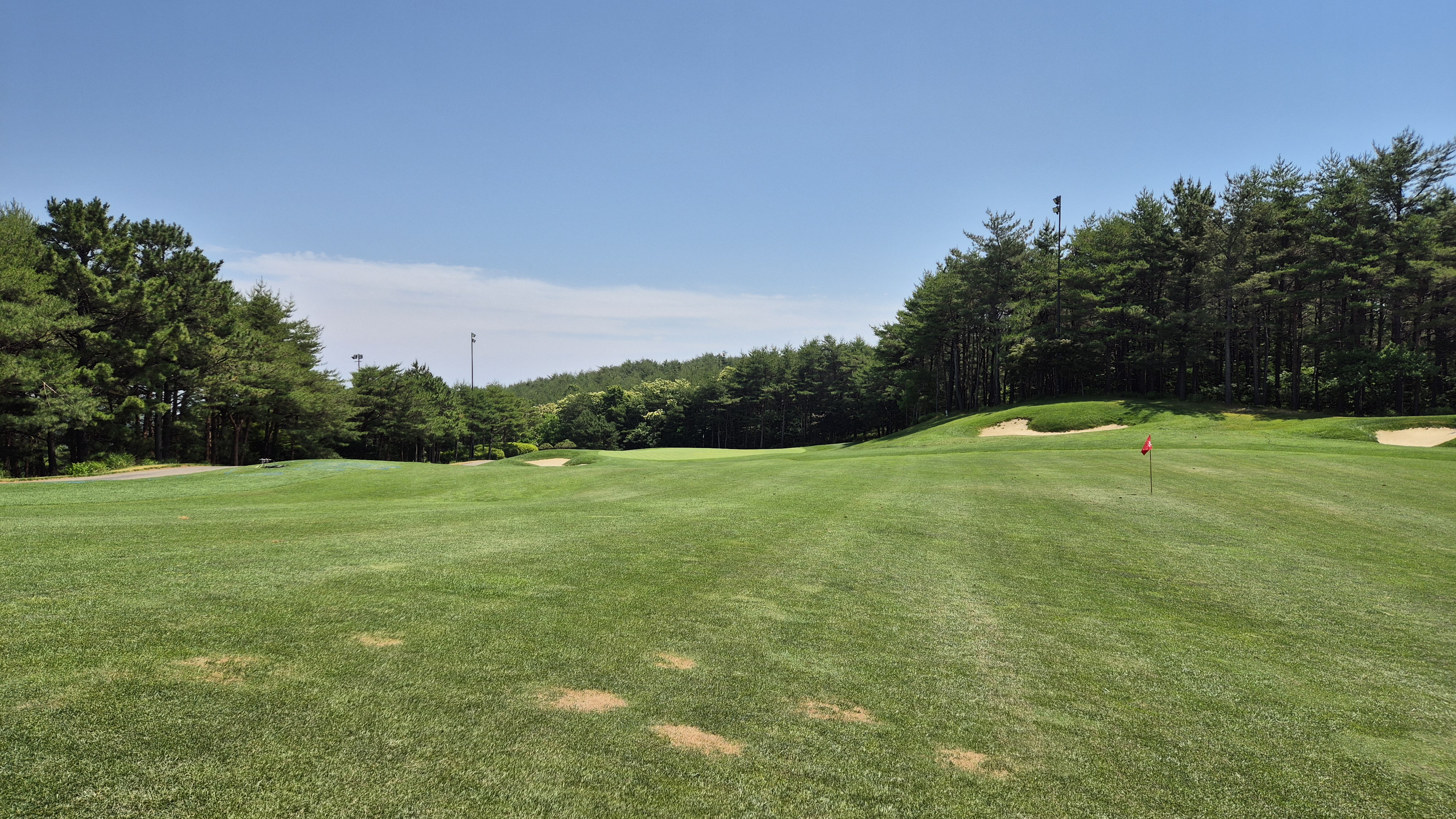 파인리즈cc 후기 및 코스사진