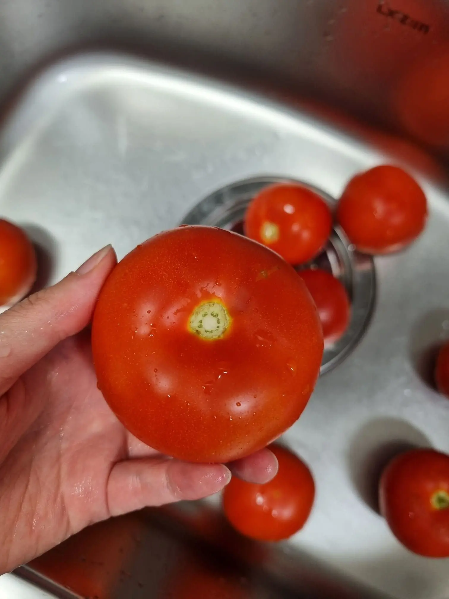 토마토 주스 만드는 법 &amp;#124; 블루베리&amp;#44; 바나나