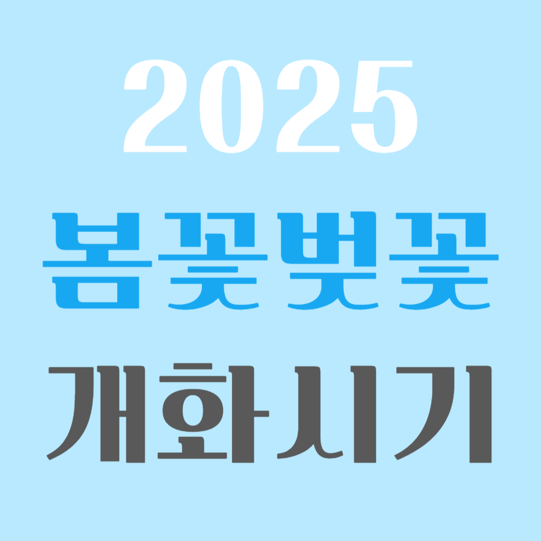 벚꽃 개화시기