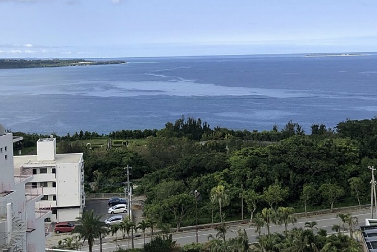 마하이나-웰니스-리조트-후기