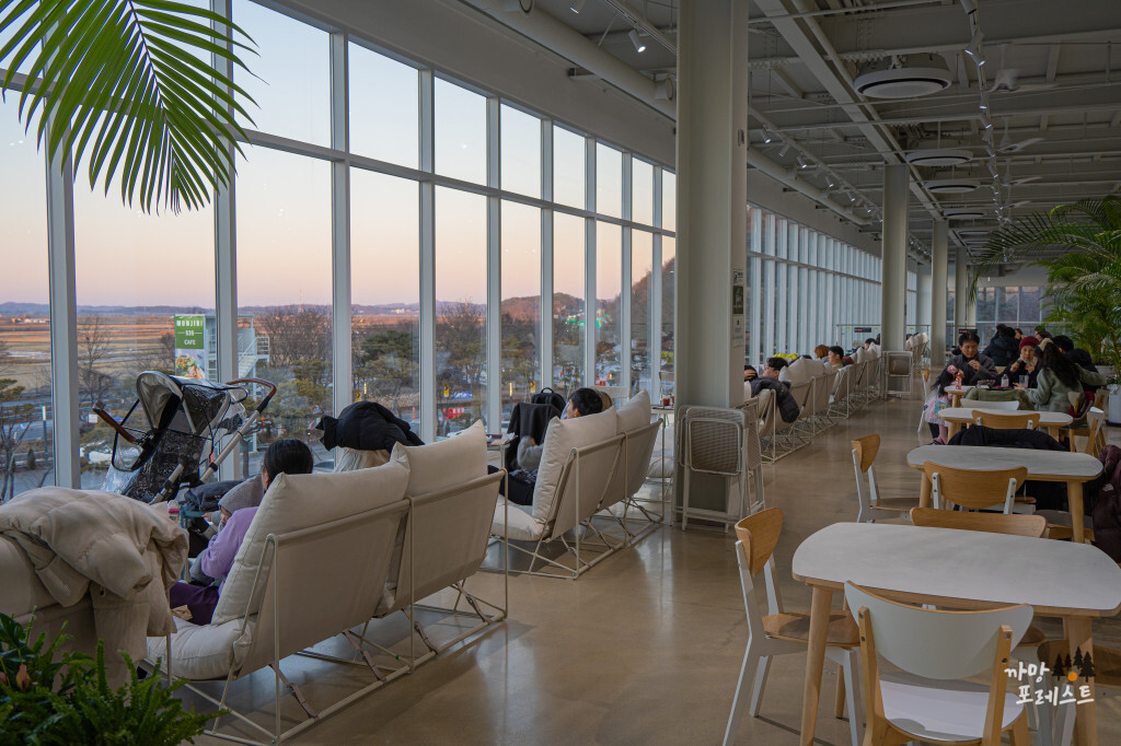 파주 문지리 535 카페 개방감