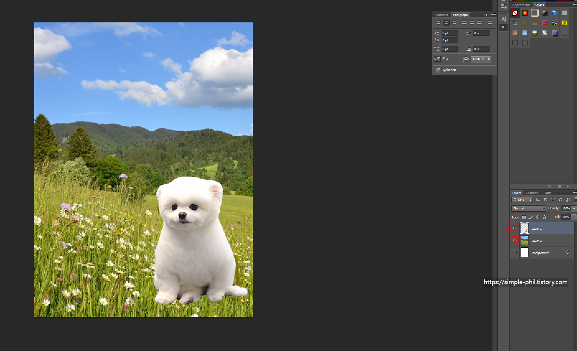 포토샵 배경 삽입