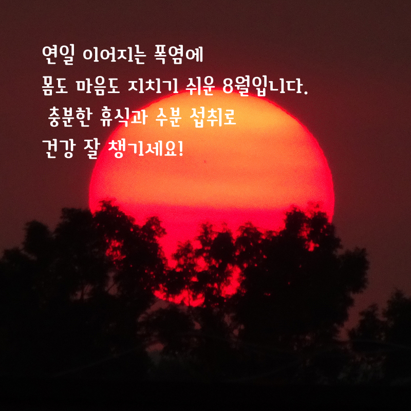 2025년 8월 인사말 문구 이미지 모음집