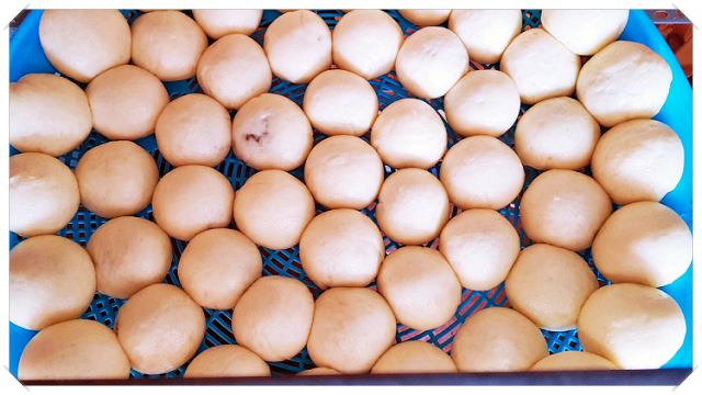125화-식객-허영만의-백반기행-박정아-원조-안흥찐빵-강원-횡성-맛집-가게