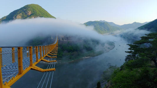 충청도 금산