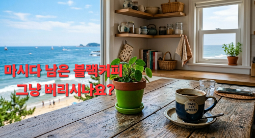 마시다 남은 블랙커피 어떻게 하시나요? 이제 버리지 마세요 남은 블랙커피를 '여기에' 뿌렸더니 충격적인 결과가? (천연 살충제 만들기)