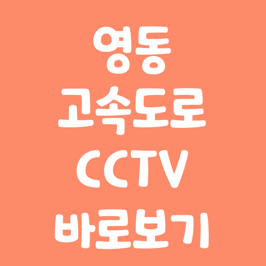 실시간 영동 고속도로 CCTV 바로보기