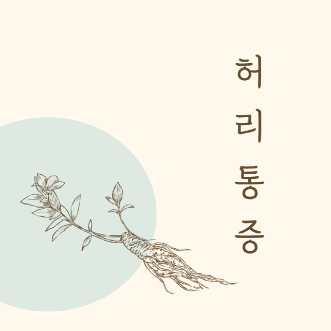 허리 아플 때