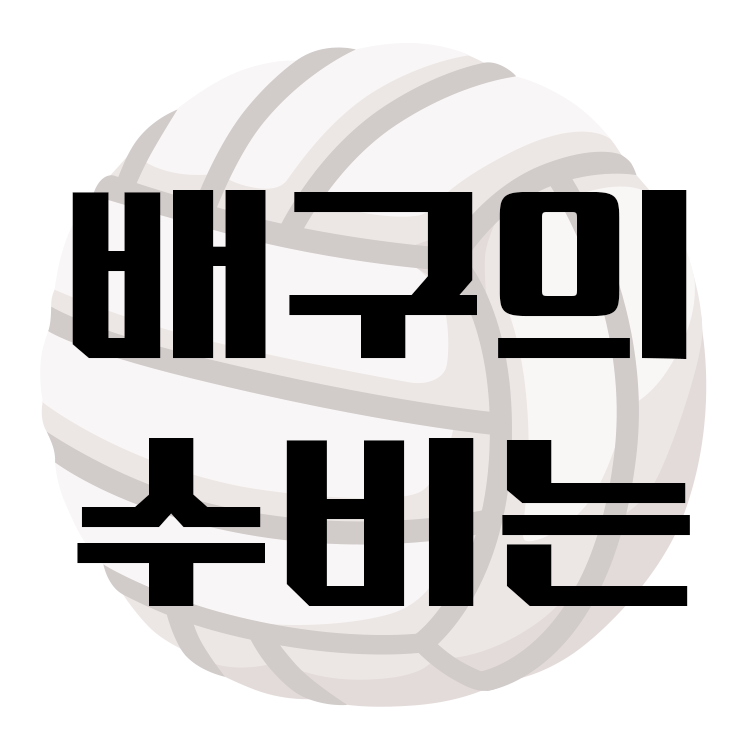 배구 수비