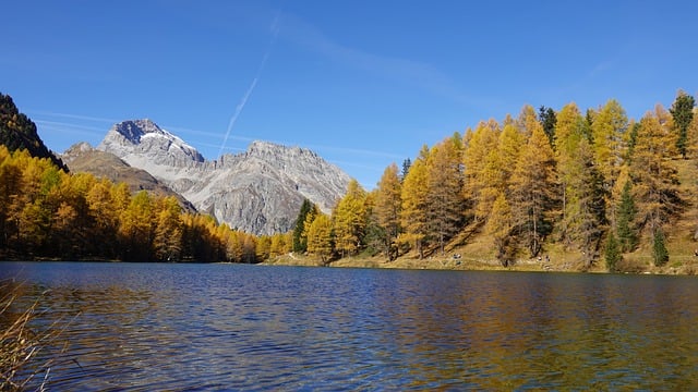 넷플릭스 코리아 유튜브