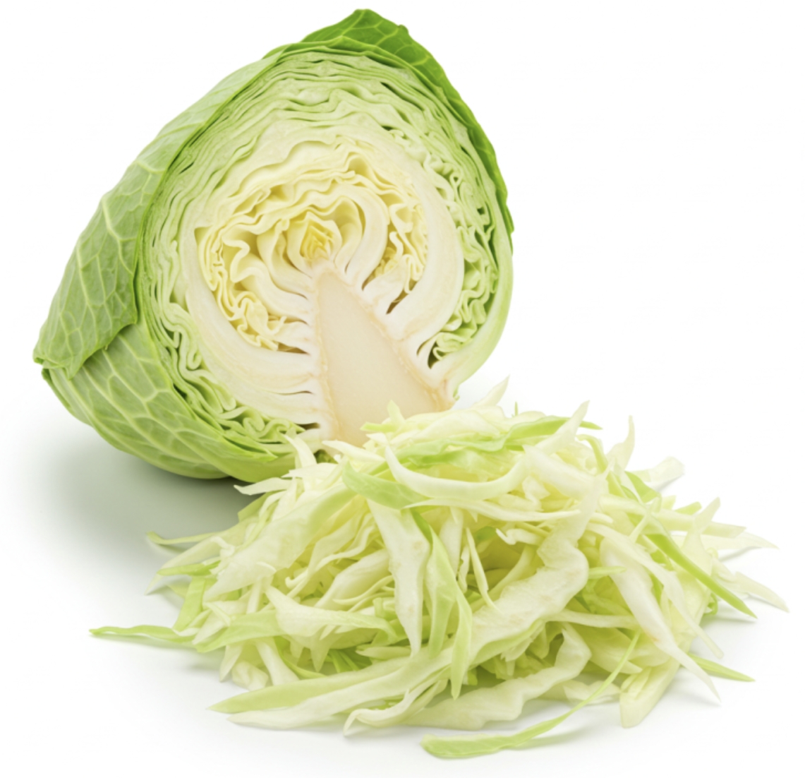 장 건강을 돕는 채소-양배추