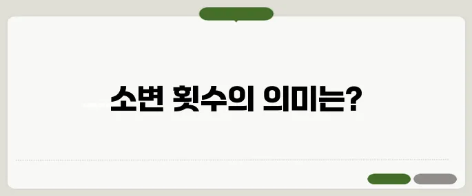 성인 하루 소변 횟수 정상은? 너무 많거나 적다면 체크