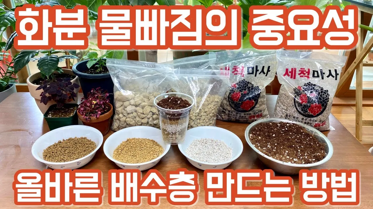 난석 배수층 만들기 뿌리썩음예방 흙배합 물주기간격 조절_2