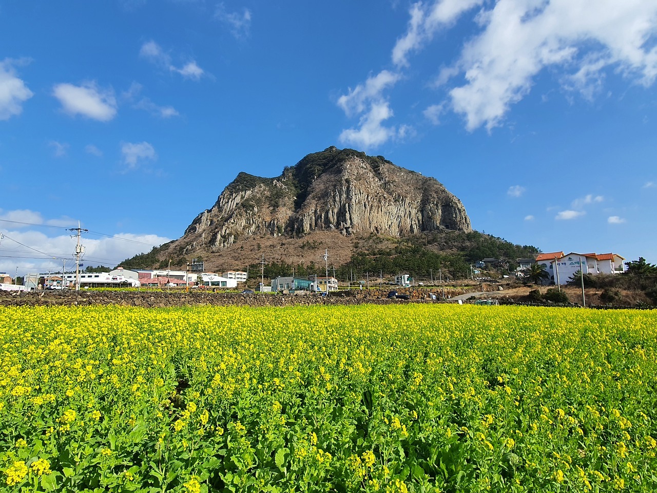 7월 한라산 특별 산행 예약 백록샘
