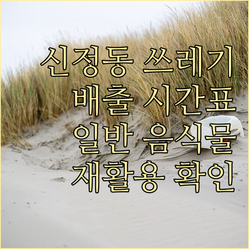 신정동 쓰레기 배출 시간표! 일반 음..