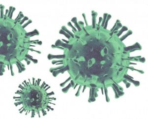 인플루엔자-무료 예방접종-시기-예약-가격-65세이상-어린이-임산부