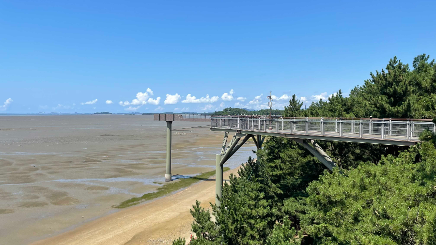 장항 스카이워크