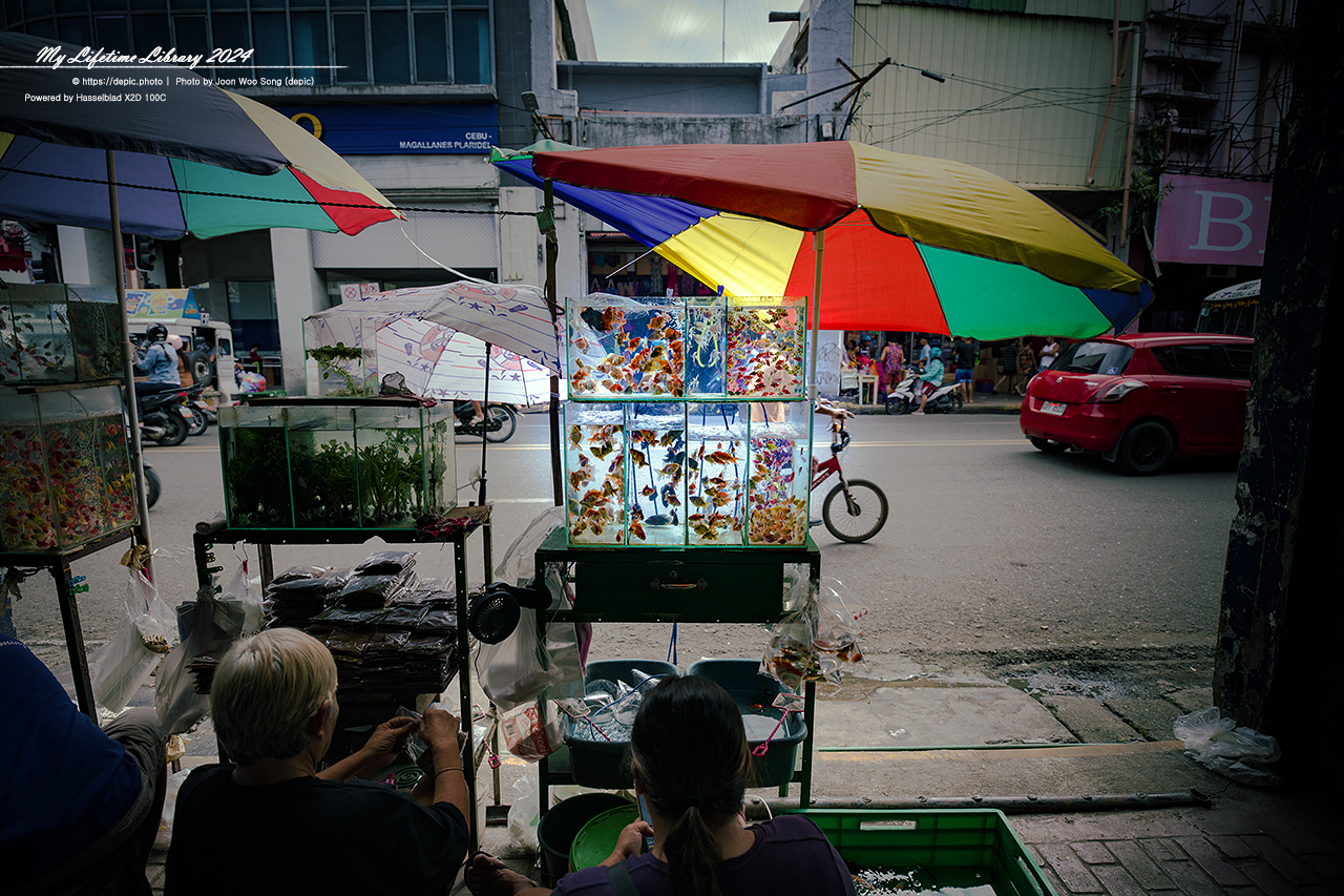 필리핀 세부 거리 시장