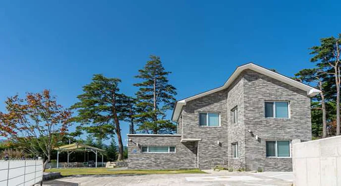 스테이도화