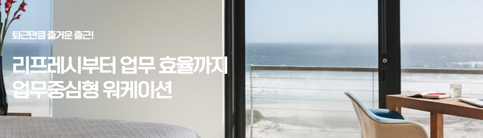 워케이션 연말여행