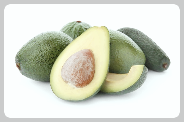 아보카도사진