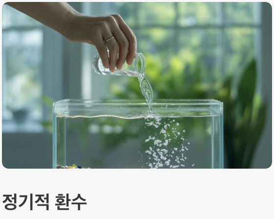 수질 관리 - '깨끗한 물'이 최고의 보약