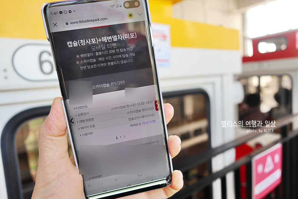블루라인파크 해운대 해변열차 & 스카이캡슐 인터넷 예약 관리