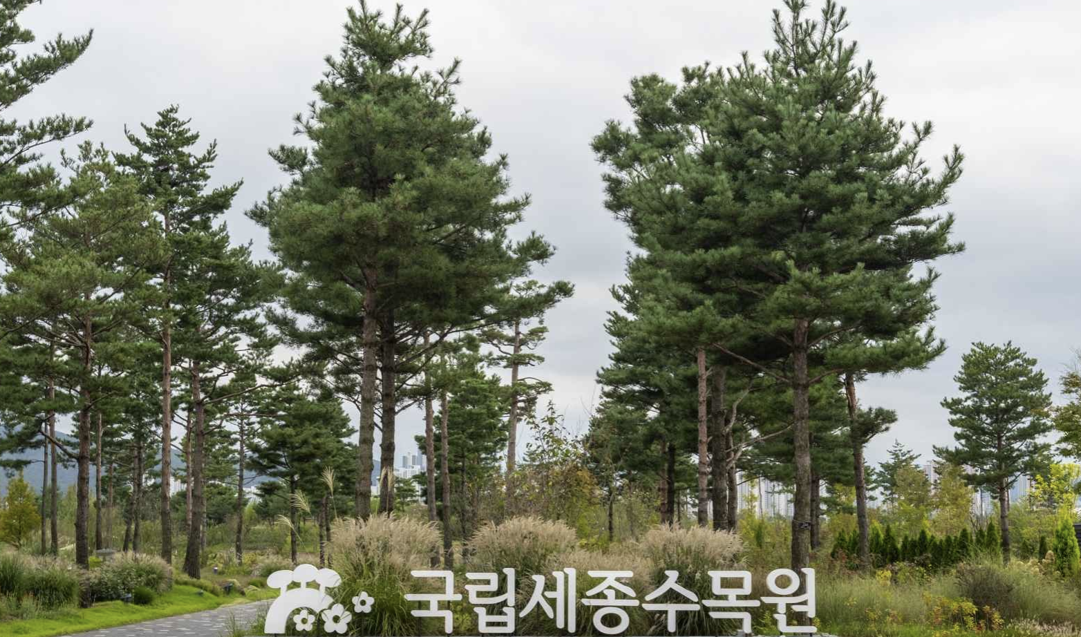 국립세종수목원 전경