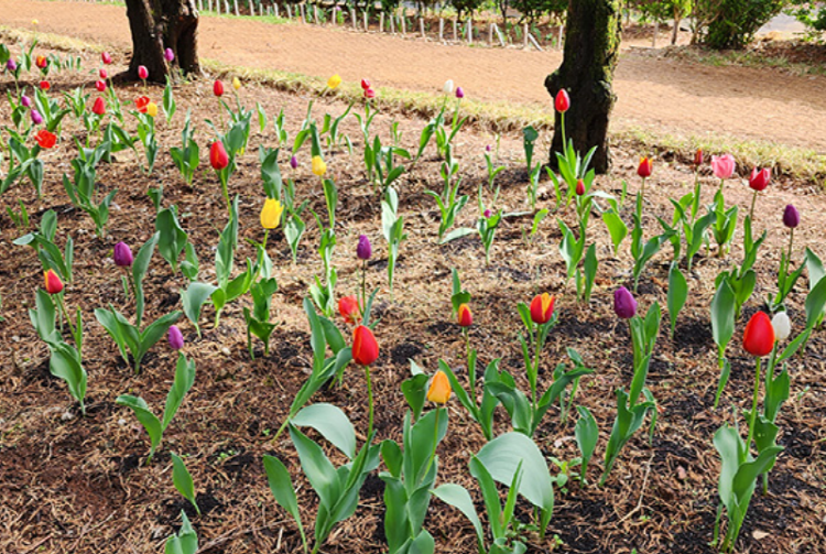 익산 아가페정원
